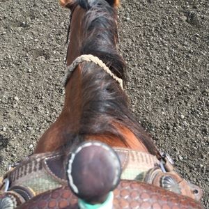 Meet your Posher, Lindsey